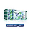 Dermicool Soap With 3 Coolants Camphor Menthol Thyme Oil 125g X3 Pack Of 1 Instant Cooling Fresh Skin