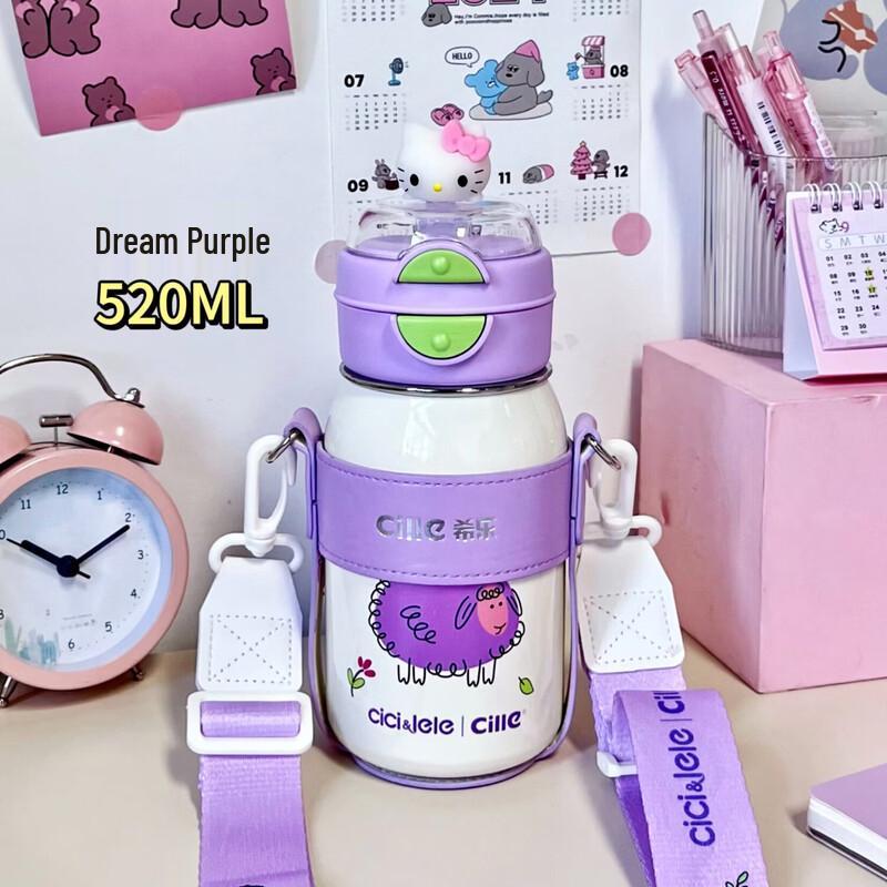 Cille 520ml Double-Drink Insulated Bottle