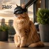 Small Pet Cosplay Accessory Cat Bat Mask, Funny Helmet, Hat Costume, Adjustable Mask for Holiday Costume Gear Halloween Party Photo Props, Lightweight
