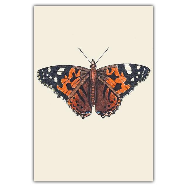 

Ретро-искусство Красочная бабочка Холст Картина Настенная художественная книга Животное Наука и образование Плакат Коридор Украшение дома Фреска Без рамки 21*30cm