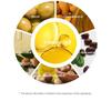 ROUND LAB - Birch Juice Moisturizing Lip Balm