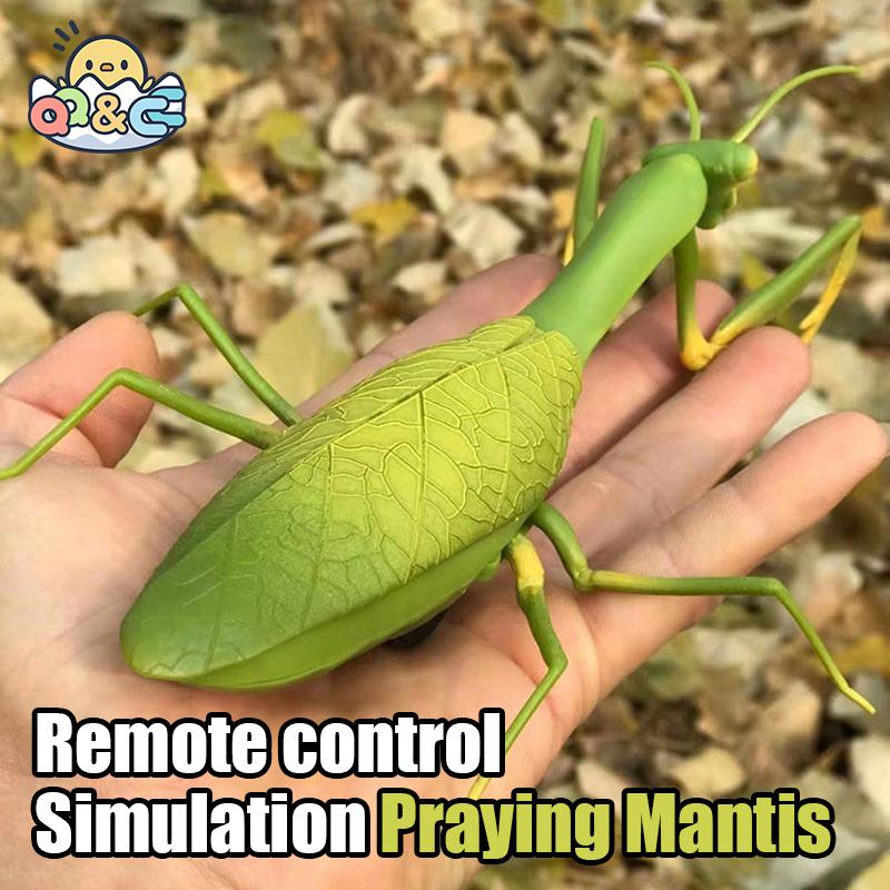 Non-Toxic Rc Animal Robot Antistress Insect Toys Infrared Simulation Spider Bee Fly Mantis Electric Toy For Children Prank Insects Pet Toy