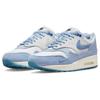 Nike Air Max 1 Premium 'Air Max Day Blueprint' Sneakers Casual Shoes DR0448-100