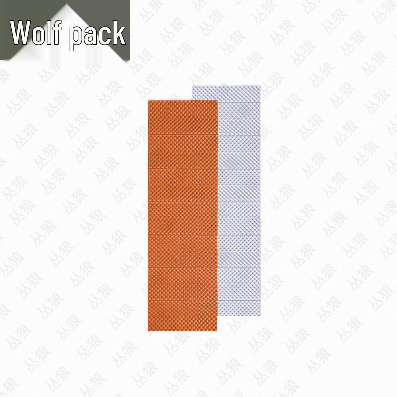 

Conglang Outdoor Portable Foldable Camping Mat