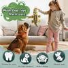 Plush Squeaky Dog Toy Mental Stimulation Dental Care - Assorted Animal Shapes