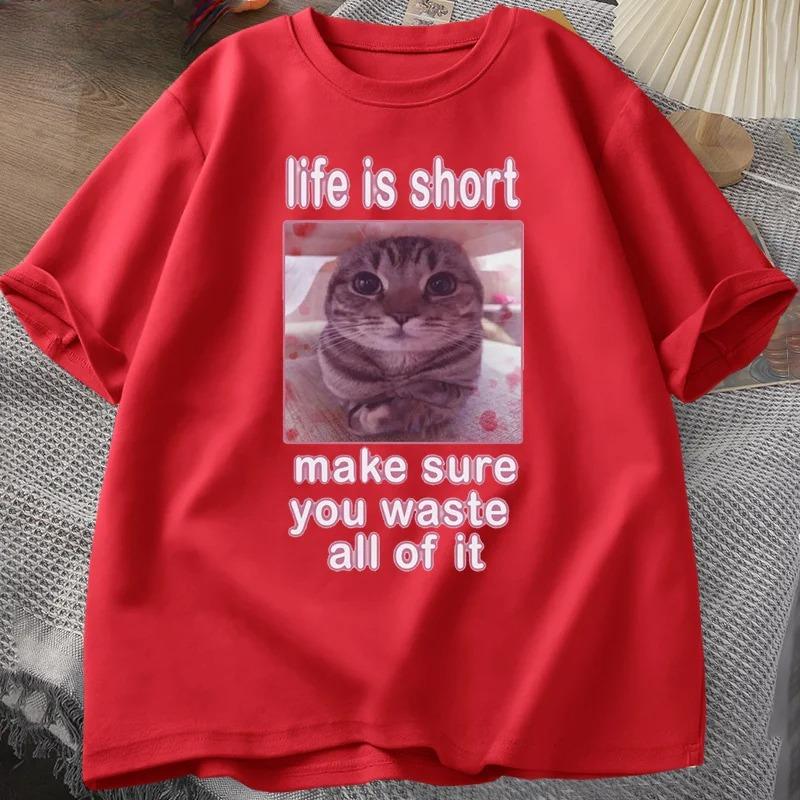 Funny Cat Meme Pattern Offering Funny Meme TShirt Silly Cat TShirt Casual ShortSleeve Printed TShirt for Men and Women 3XL