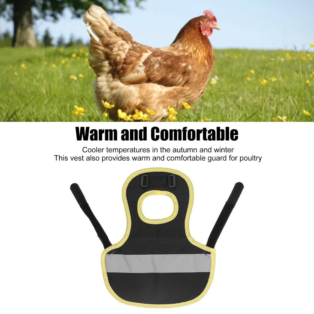 Easy Clean Poultry Harness Vest Nylon Hen Reflective Vest Warm Chicken Harness Vest  Hen