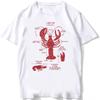 Whale Shark Anatomy Biology Tshirt Unisex Women Hip Hop Casual T Shirts Women Beach Diving White Tshirt Vintage Women Tees