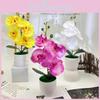 Butterfly Orchid Synthetic Flower With Silk And Plastic Materials For Indoor Events And Photography