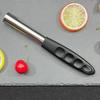 2pcs Stainless Steel Fruit Corer Plastic Handle Core Remover Tool Fruit Core Remover  Kitchen
