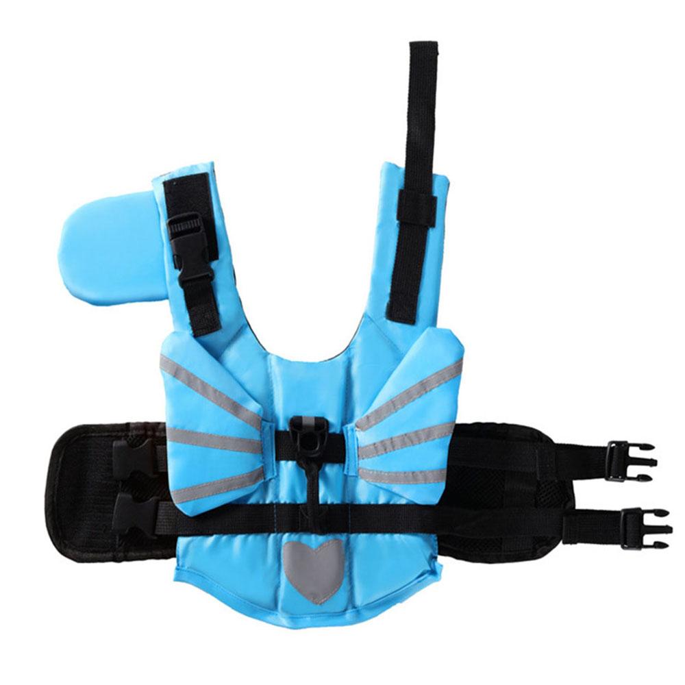 

Жилет для плавания для домашних животных, спасательный жилет для собак, летний купальник для собак, щенков, маленьких и больших собак, уличная пляжная одежда, морской бассейн, одежда для домашних животных XS