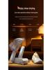 Dual-Use Shoe Deodorizing & Sterilizing Dryer for Wet and Dry Shoes - Home Shoe Drying and Baking Machine.