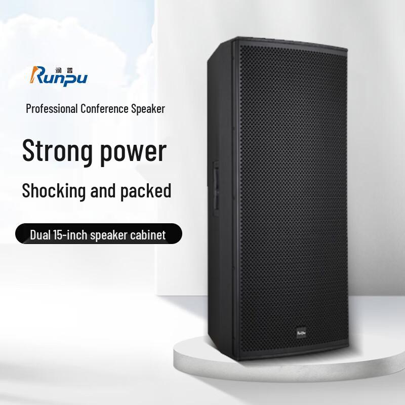 Runpu Professional Dual 15-inch Passive Conference Speaker (CN version)