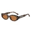 Vintage Small Oval Frame Sunglasses Women Retro Polarized Sun Glasses Fashion Black Shades Classic Summer Accessories Eyewear