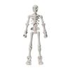 3D Skeleton Model Decorative Item DIY Skull Movable Joint Assembly Toy Prank Figurine Halloween Decorations Toy Gift