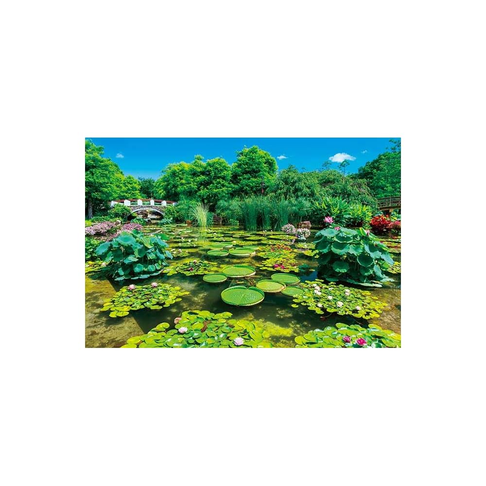 

Appleone Jigsaw Puzzle 1000 Pieces Green Shimmering Water Forest Shiga Japan 75x50cm