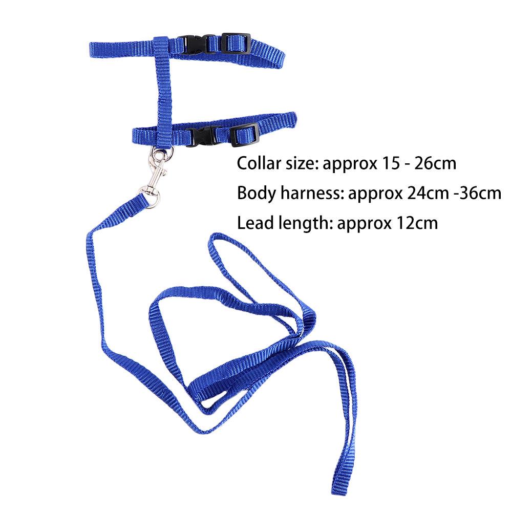 Pet Traction Training Cat Rope Cat Pet Rope Adjustable Cat Belt Nylon Harness Kitten Collar Rope