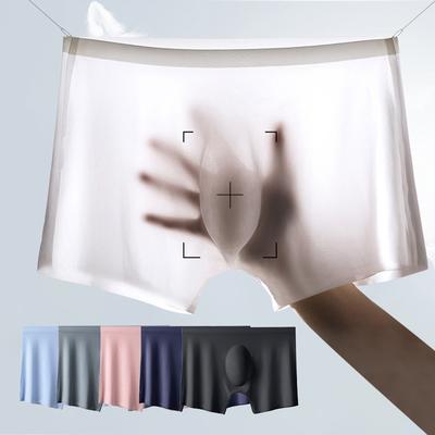 Culotte translucide respirante Ultra-fine pour hommes, Boxer sans couture en soie glacée, Lingerie printemps été