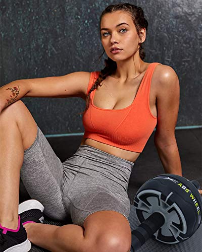 CATOOM Ab Roller with Mat + Push-Up Wheel, Exercise Wheel, 220kg Weight Capacity, Black/Gray