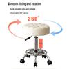 Professional Salon Swivel Stool with Backrest