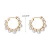 Chinese Restaurant Fourth Season Zhao Liying Same Style Earrings for Shell Bead Ear Buckle Earrings Clear Summer Earring