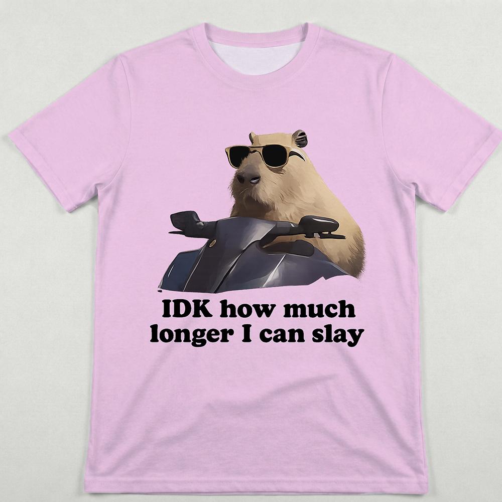 Funny Capybara Meme TShirt IDK How Much Longer I Can Slay Men Women Y2K Streetwear Summer Casual ShortSleeve Wide TShirt