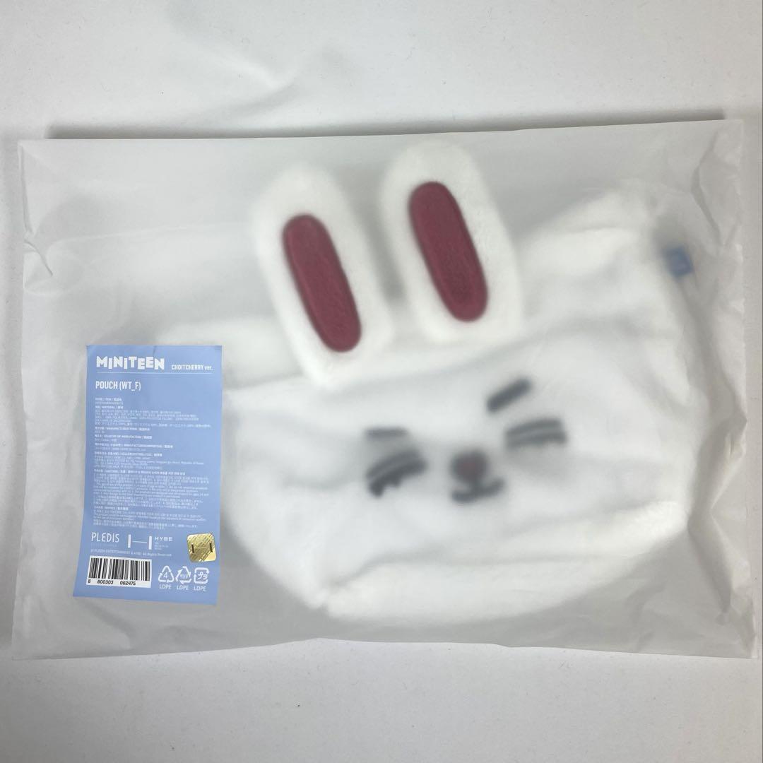 

[Б/У] SEVENTEEN MINITEEN Поп-ап S.Coups Косметичка