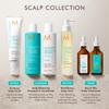 MOROCCANOIL Scalp Balancing Shampoo (250ml) Scalp Care (Lavender, Tea Tree, Bergamot) with Argan Oil