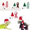 Headwear Poultry Chicken Lizard Guinea Pig Pet Hat Santa Claus Merry Christmas Animal Scarf