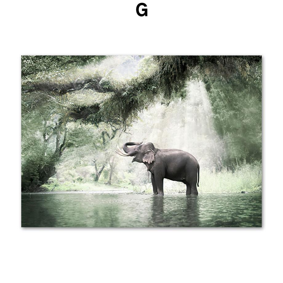 

Пальмовый лес, джунгли, леопард, слон, панда, мост, скандинавский постер, настенный художественный принт, холст, картина, настенная картина для декора гостиной A4 21X30cm No Framed