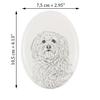 Havanese, Havanese Cuban Bichon- commemorative plaque with a photo of a dog, tombstone with a print, personalized oval plaque from the Art-Dog brand –