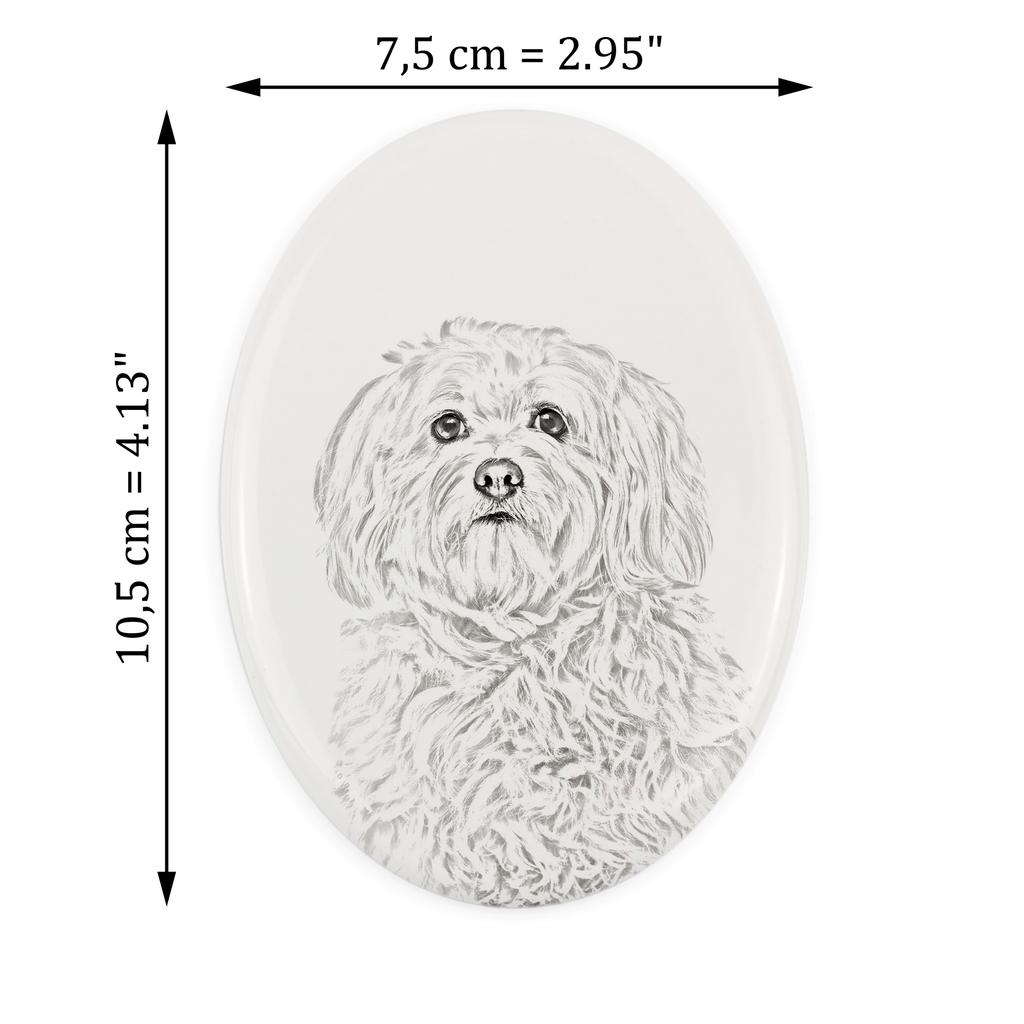 Havanese, Havanese Cuban Bichon- commemorative plaque with a photo of a dog, tombstone with a print, personalized oval plaque from the Art-Dog brand –