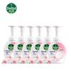 Foaming Antibacterial Hand Wash, Floral (6-Pack)