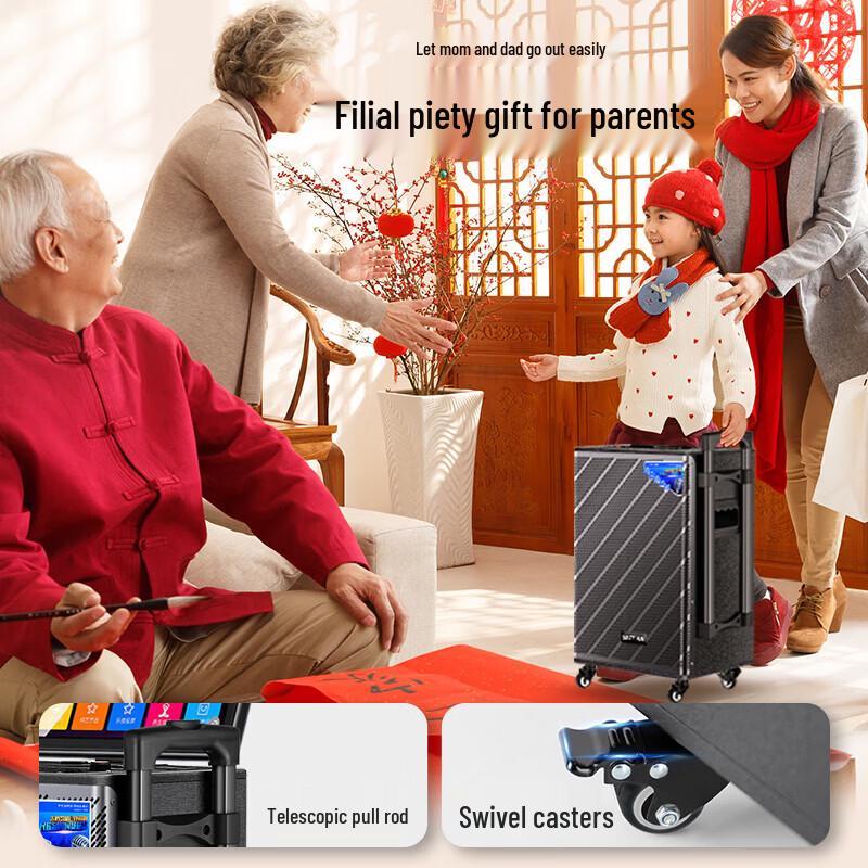 SAST SW-39 Portable Karaoke KTV Speaker System CN Plug (adapter Included)