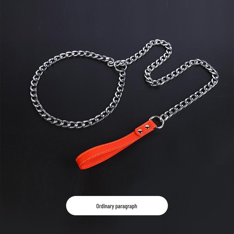 Anti-Bite 5m Iron Chain Dog Leash & Collar Set