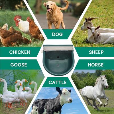 Automatic For Sheep Goats Feeding Livestock Supplies Water Drinking Bowl Farm Animal Water Feeder Cow Drinking Tool