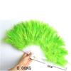 Hand Held Soft Feather Fan Burlesque 20s Flapper Wedding Ladies Fancy Dress