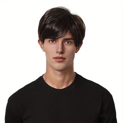 New Partial Black Short Hair Men'S Wig Full Head Cover Korean Version Fluffy Short Straight Wig
