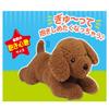 HAC Always Toy Poodle 55cm HAC5110 (Hack) Together!