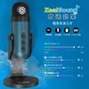 ZealSound USB Condenser Streaming Phone Microphone, Unidirectional with Echo Function, for Conferences, Game Play, Tablets, PC Recording, YouTube,