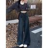 Women's 2025 Spring/Autumn Retro Loose Wide-Leg Denim Pants