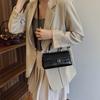 High-end hand carry small square bag women's 2025 spring new fashion simple shoulder bag trendy casual messenger bag