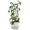 Plant Climbing Support Frame Creative Horticultural Vine Plant Metal Support Rod Iron Wire Lotus Butterfly Orchid Fixed Rod