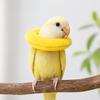 Soft Parrot Recovery Cone Comfortable Anti-Bite Anti Licking Collar Adjustable Breathable Bird Elizabethan Collar