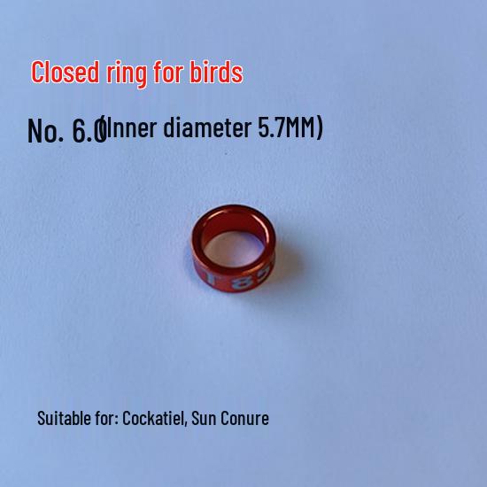 Inele de picior din aliaj placat electric pentru identificarea papagalilor Myna, Finch, Peruş, Cocchetă - Design aleatoriu cu caracter