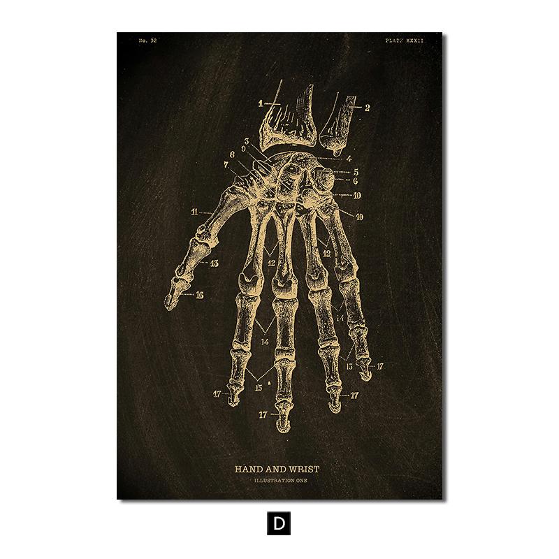 Δομή ανθρώπινης ανατομίας Vintage αφίσα Εκτύπωση σκανδιναβικής τέχνης καμβά με χρυσό σκελετό όργανα Ζωγραφική εικόνες τοίχου Ιατρική διακόσμηση σπιτιού