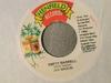 7inch Record JAH MASON  Empty Barrell END0015 Henfield Record Jamaica Reggae Ska  Dub Used