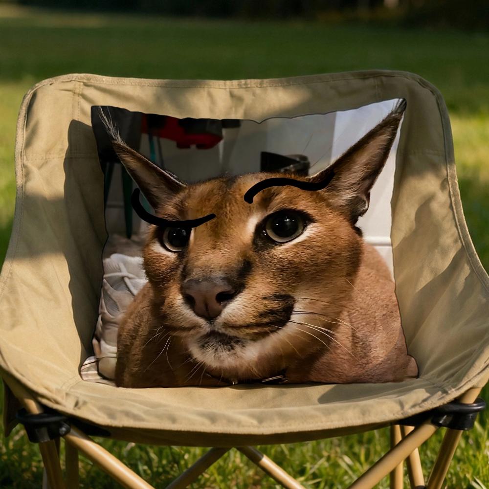 Floppa Cat Meme Cushion Cover Soft Reversible  Durable Pillow Cover  MultiScene Use for Home  Car Daily Comfort