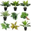 Artificial Monstera Plant - 9-Head Spring Rain Leaves, Potted Wall Décor