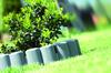 Garden Palisade with IPAL6 Collar | Terracotta